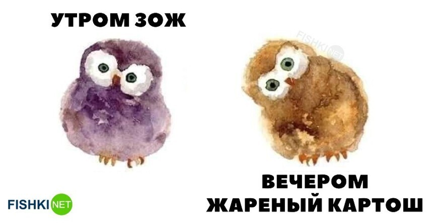 И так каждый раз
